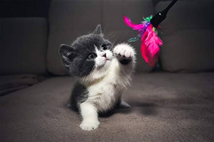 this is aactual itle of the blog